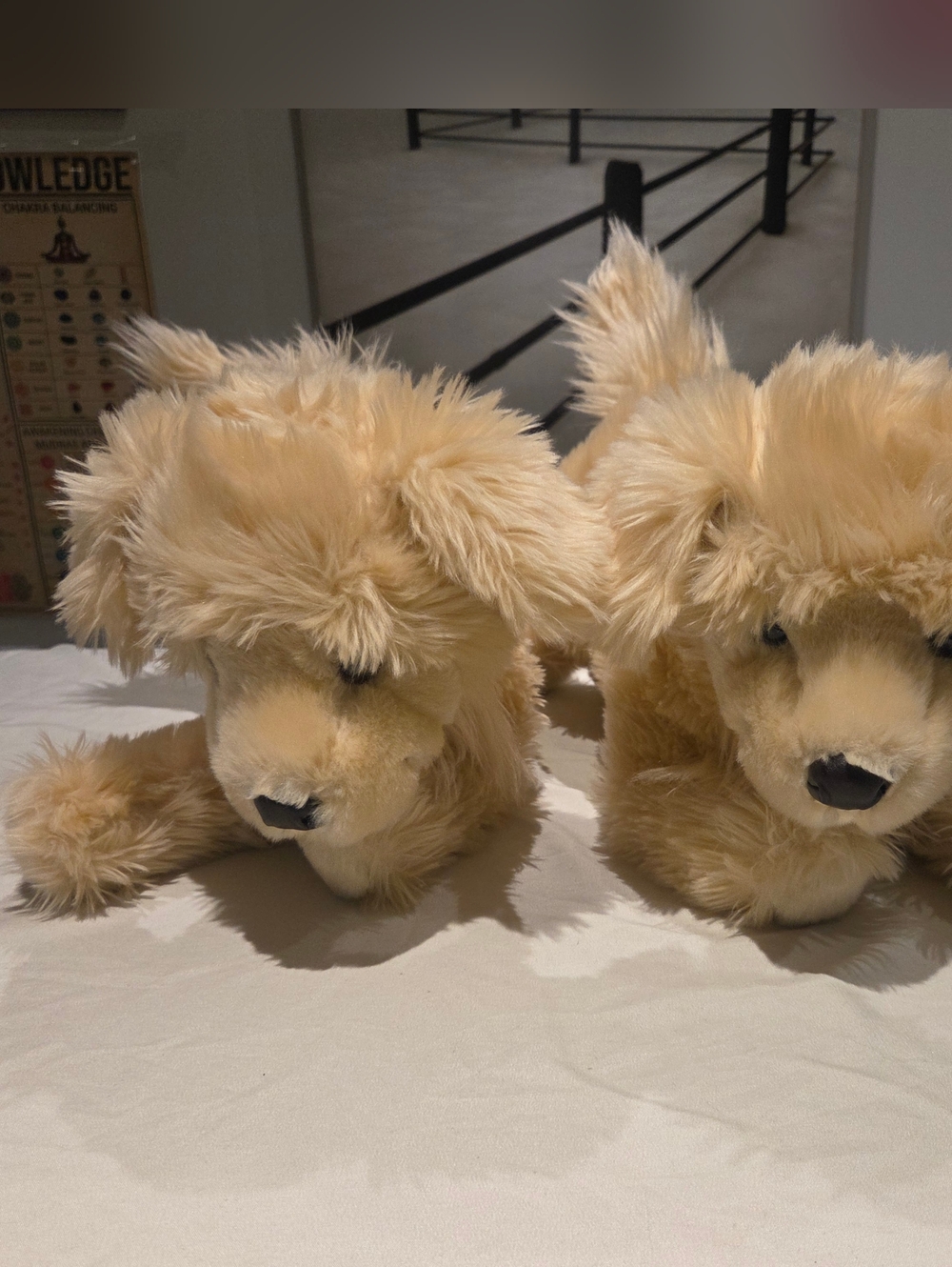 FAO Schwarz Plush Golden Retriever Pair with Fluffy Fur